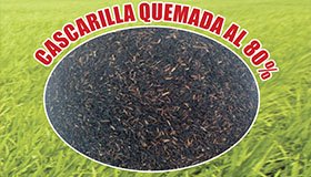 Quemada 80%