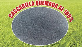 Quemada 100%
