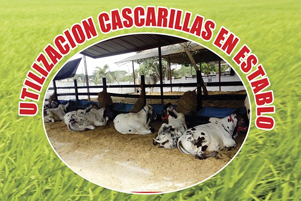 Uso en Establos