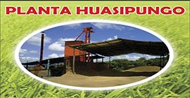 Planta