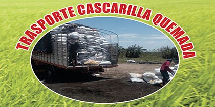 Cascarilla Quemada